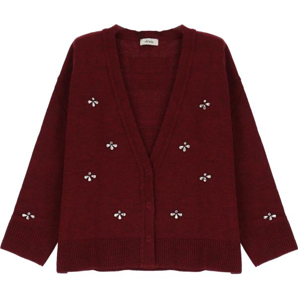 cardigans Dixie marrone