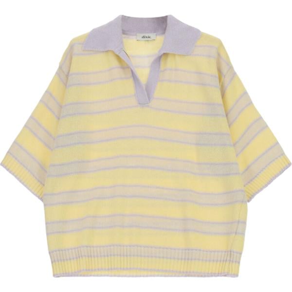 top Dixie marrone a righe