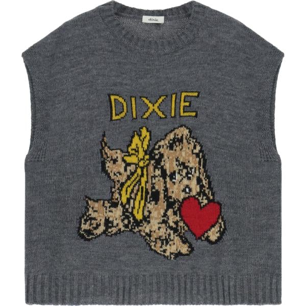 maglieria Dixie grigio con stampe