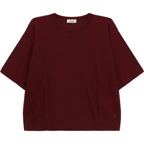 t-shirt Dixie marrone