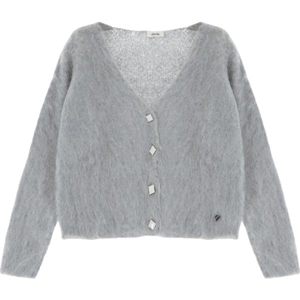 cardigans Dixie grigio