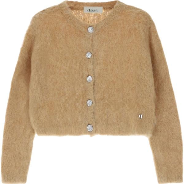 cardigans Dixie marrone
