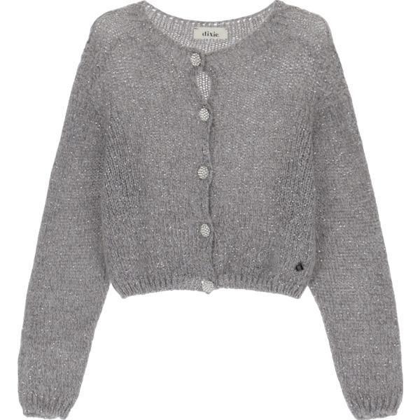 cardigans Dixie grigio