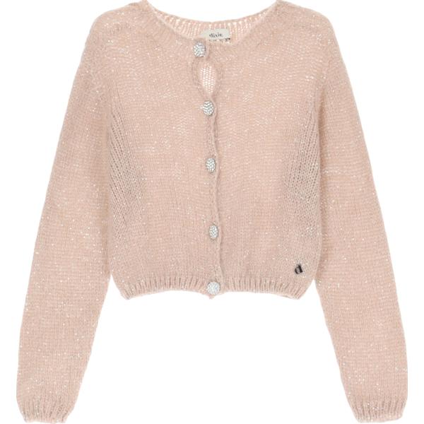 cardigans Dixie marrone