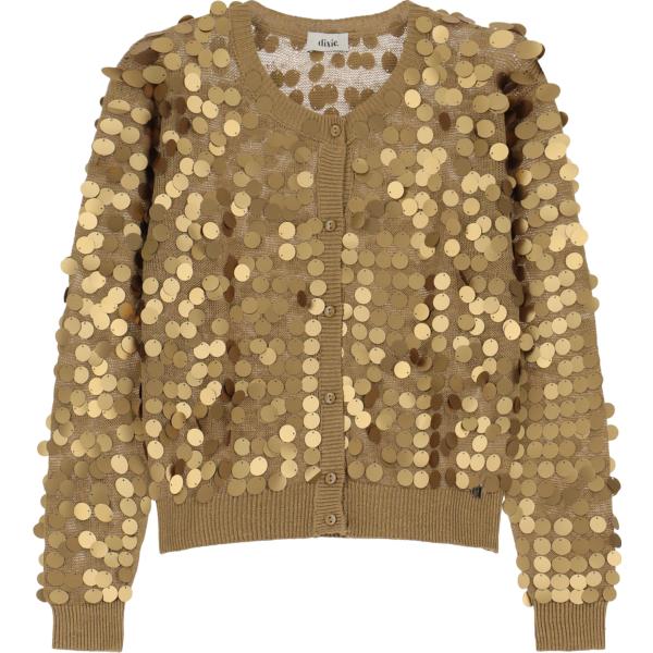 cardigans Dixie marrone
