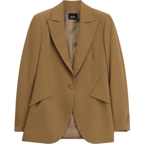 blazer Dixie marrone