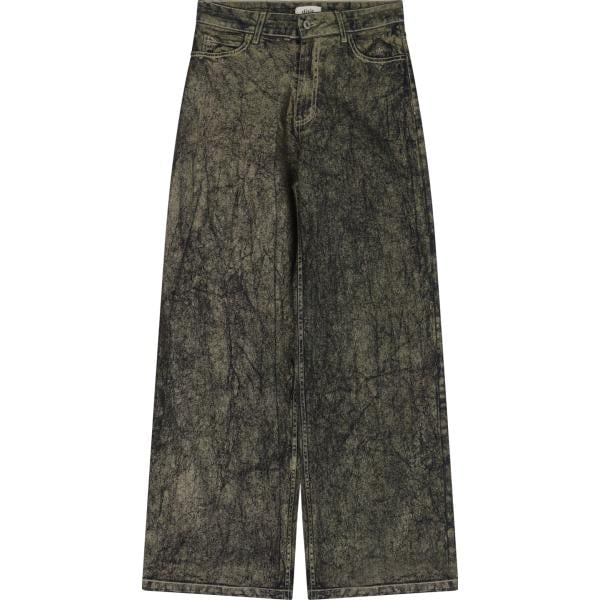 jeans Dixie grigio con stampe