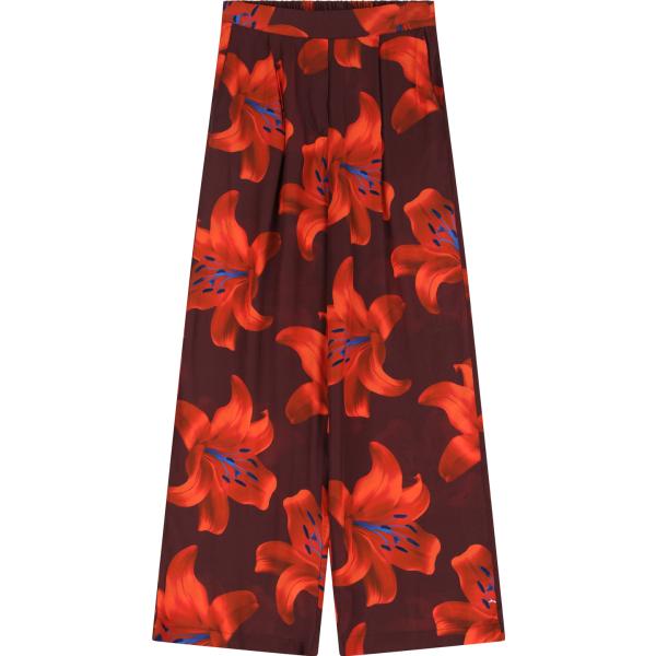 pantaloni Dixie marrone con stampe