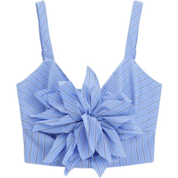 top Dixie viola a righe