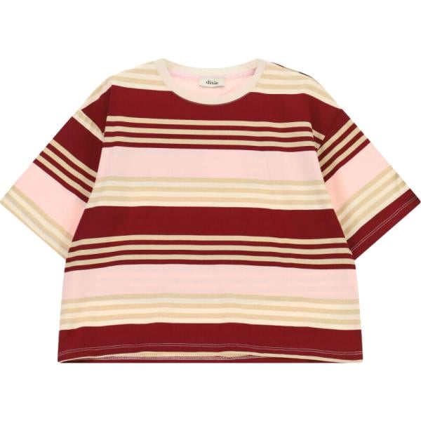 t-shirt Dixie multicolore a righe