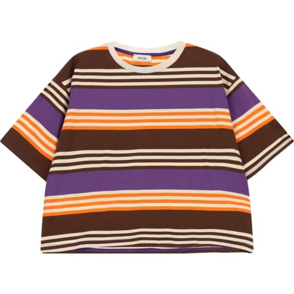 t-shirt Dixie marrone a righe