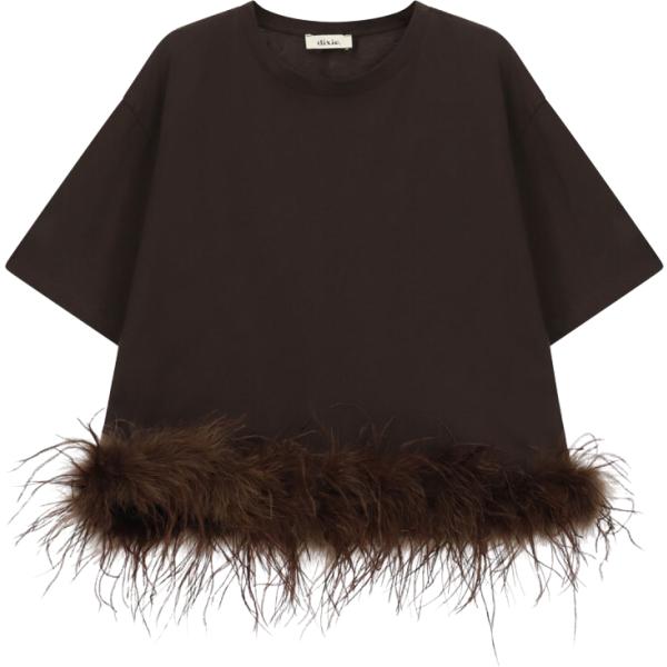t-shirt Dixie marrone