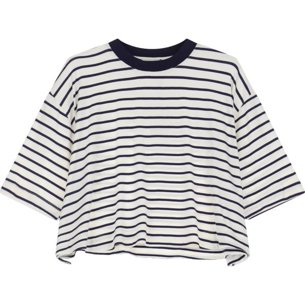 t-shirt Dixie grigio a righe