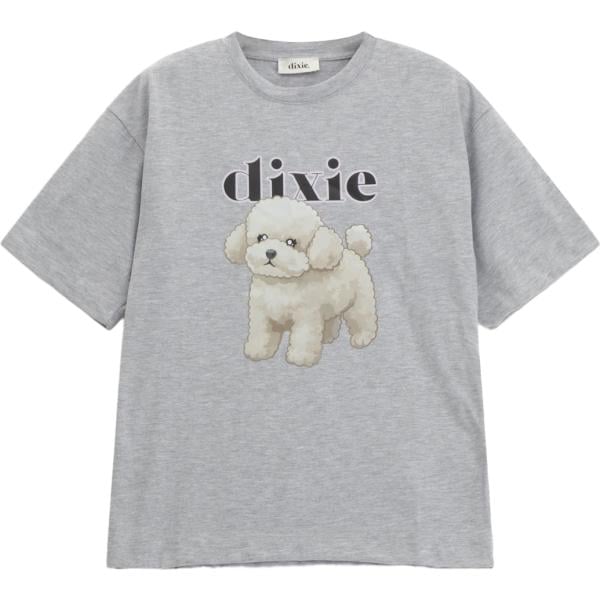 t-shirt Dixie grigio con stampe