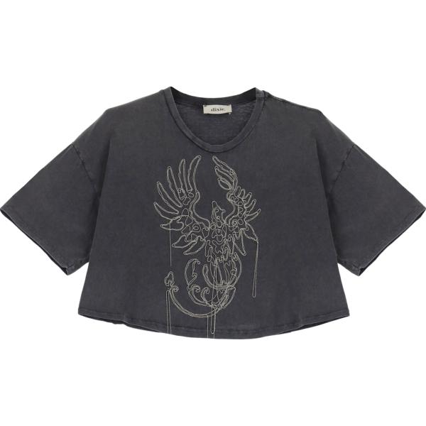 t-shirt Dixie grigio con stampe