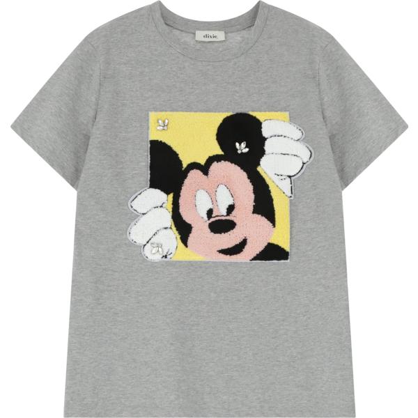 t-shirt Dixie grigio con stampe