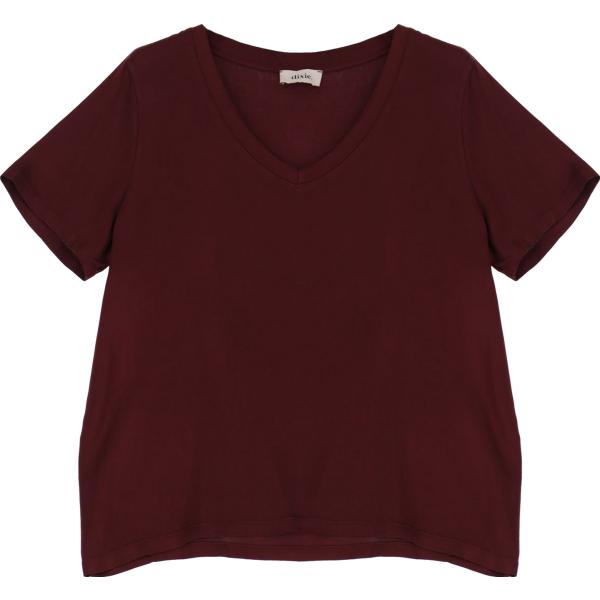 t-shirt Dixie marrone tinta unita