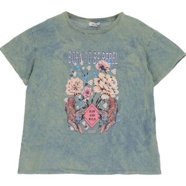 t-shirt Dixie grigio con stampe