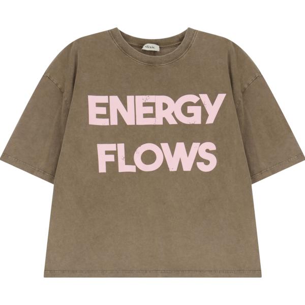 t-shirt Dixie marrone con stampe