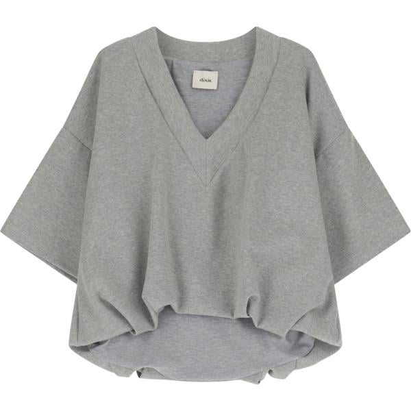 t-shirt Dixie grigio