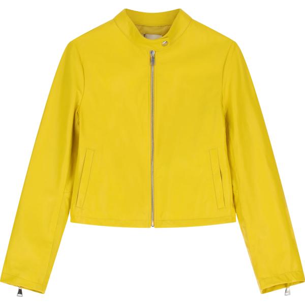 giacche Dixie giallo