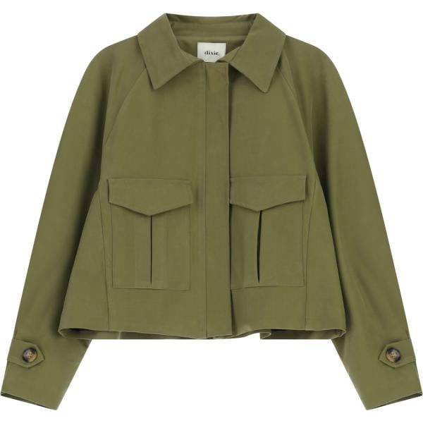 bomber Dixie verde