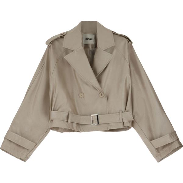 blazer Dixie marrone