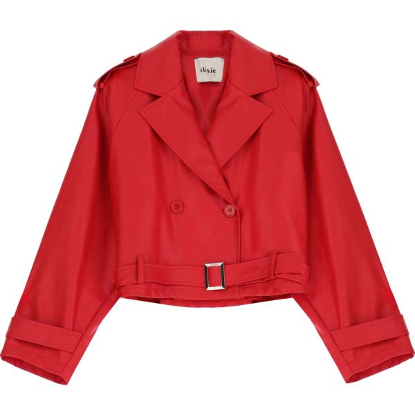 blazer Dixie rosso