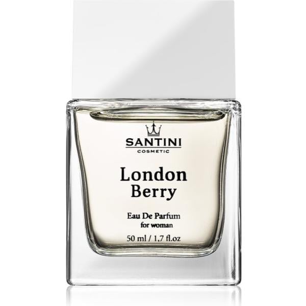 profumi SANTINI Cosmetic grigio