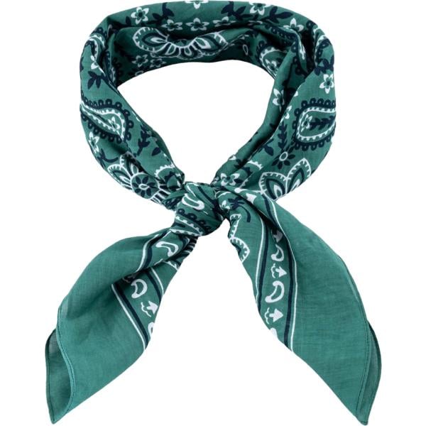 sciarpe e foulard Doppelganger verde paisley