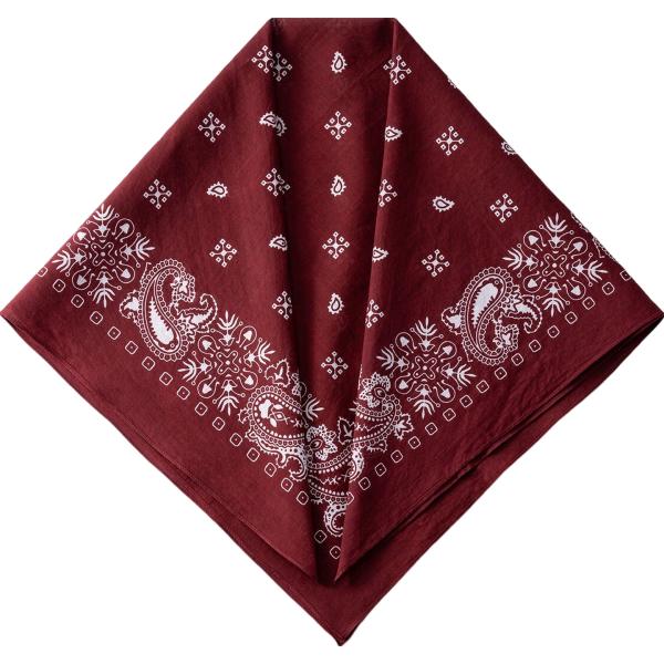 foulard Doppelganger marrone paisley