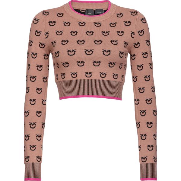 maglieria Pinko marrone