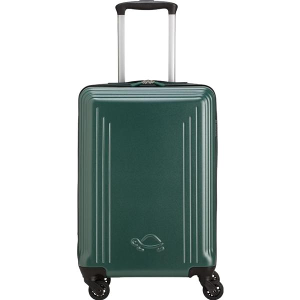 valigie Carpisa verde