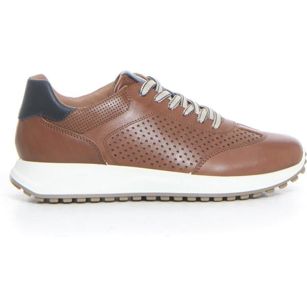 sneakers Igi&Co multicolore