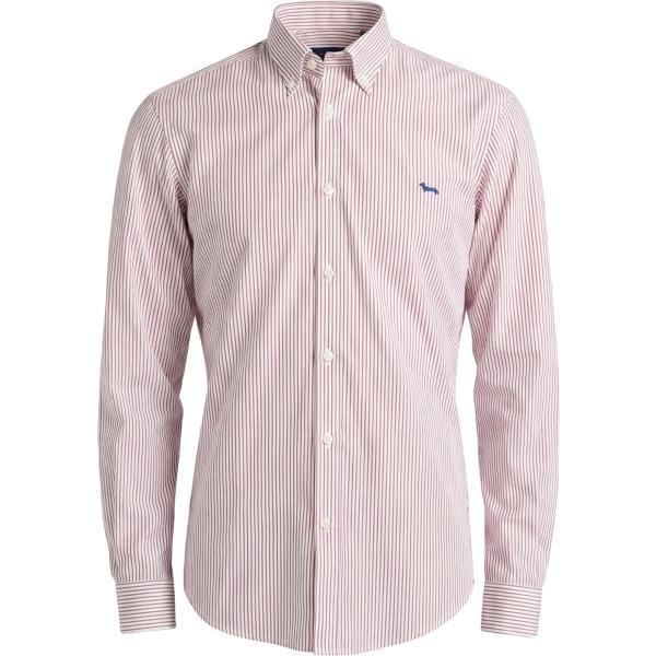 camicie Harmont&Blaine viola a righe