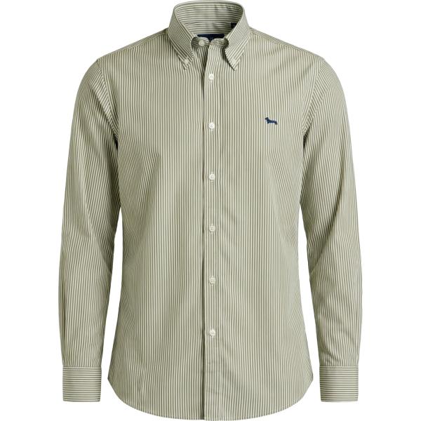 camicie Harmont&Blaine verde a righe