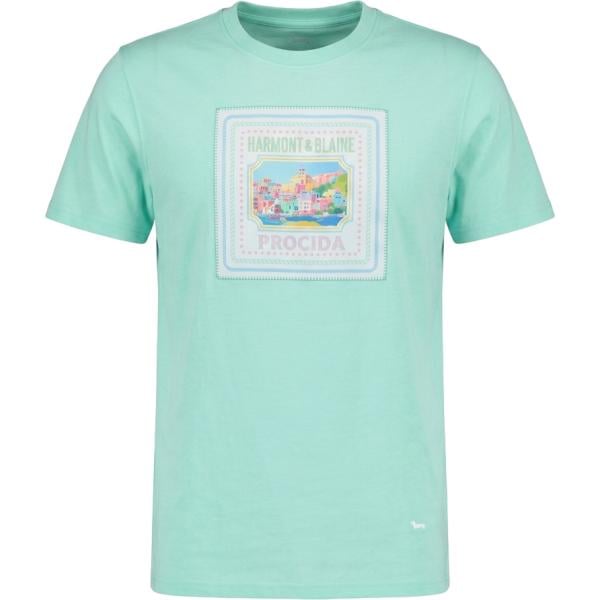 t-shirt Harmont&Blaine blu con stampe