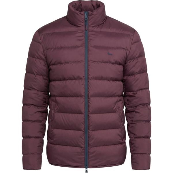 bomber Harmont&Blaine viola