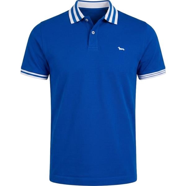 polo Harmont&Blaine blu a righe