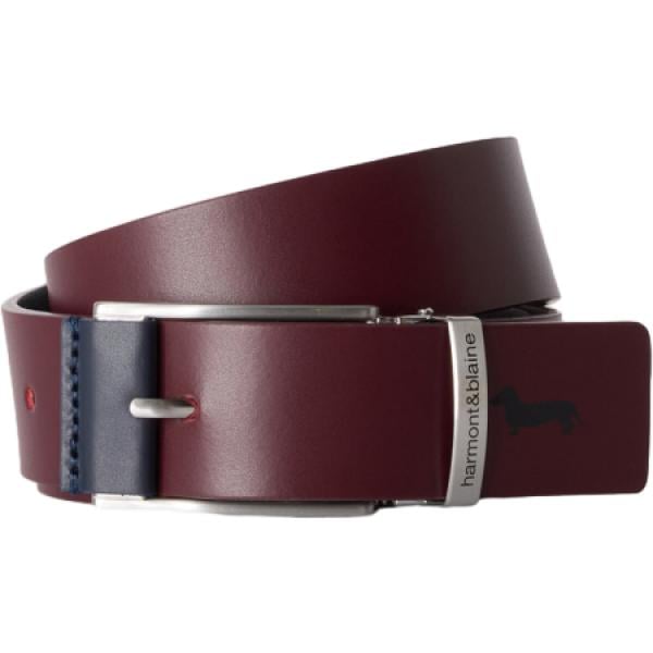 cinture Harmont&Blaine marrone