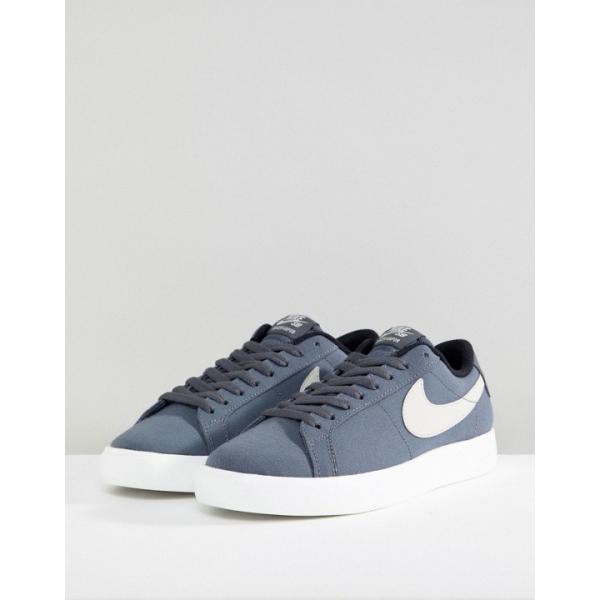 Blazer Nike SB