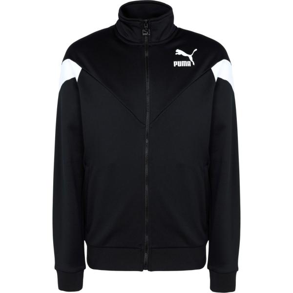 Puma multicolore