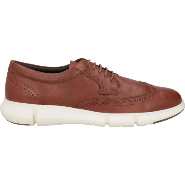 sneakers Geox marrone tinta unita