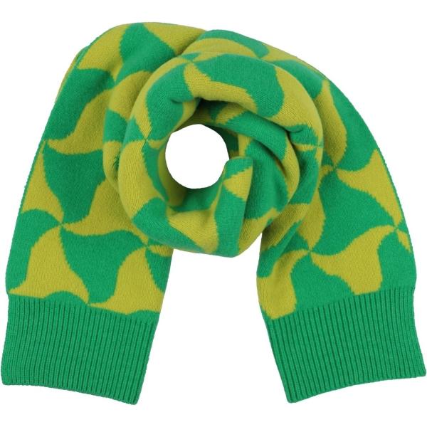 sciarpe Bottega Veneta verde