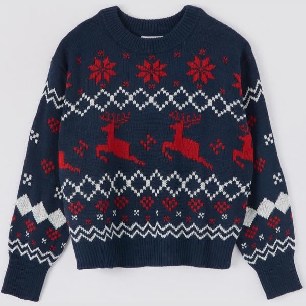 Maglione con ricamo jacquard blu Terranova blu