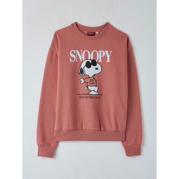 felpe Terranova multicolore con stampe