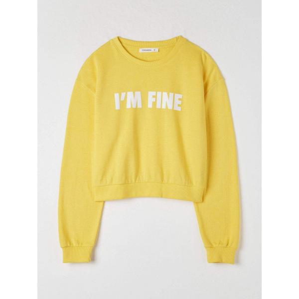 felpe Terranova giallo