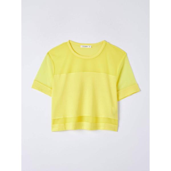 t-shirt Terranova bianco