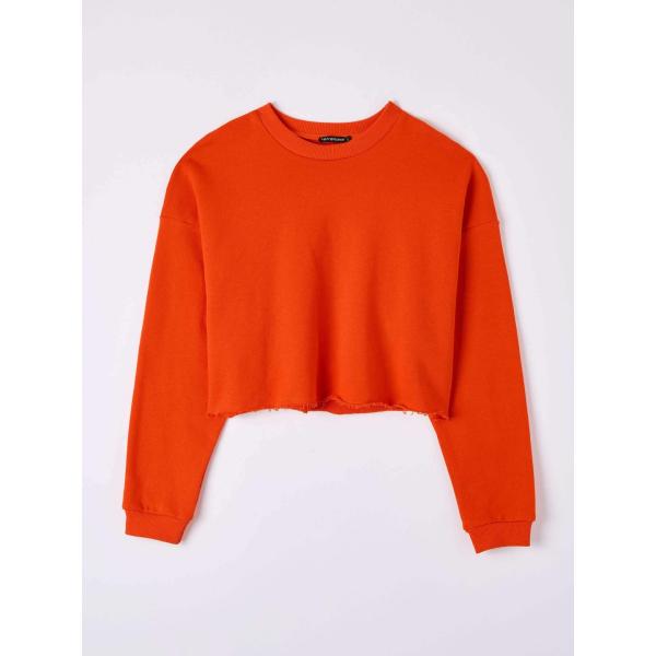 felpe Terranova multicolore tinta unita