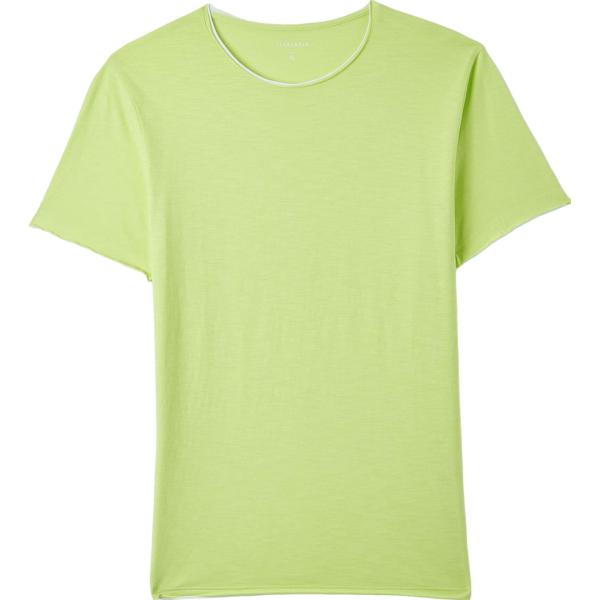 t-shirt Terranova verde